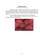 Vienmetės gėlės apvadams 13 puslapis