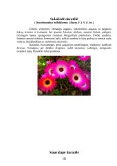 Vienmetės gėlės apvadams 18 puslapis