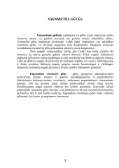 Vienmetės gėlės apvadams 3 puslapis