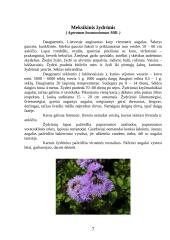 Vienmetės gėlės apvadams 7 puslapis