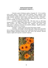 Vienmetės gėlės apvadams 9 puslapis