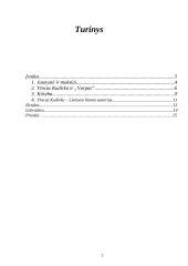 Vinco Kudirkos jaunystė ir kūryba 2 puslapis