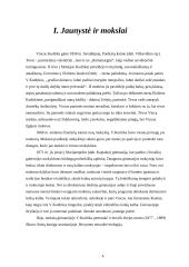 Vinco Kudirkos jaunystė ir kūryba 4 puslapis