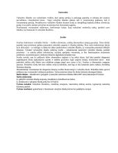 Vyriausybės sektoriaus išlaidų analizė 2004-2007 metais Europos Sąjngoje (ES) 2 puslapis