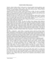 Vyriausybės sektoriaus išlaidų analizė 2004-2007 metais Europos Sąjngoje (ES) 3 puslapis