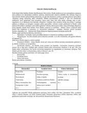 Vyriausybės sektoriaus išlaidų analizė 2004-2007 metais Europos Sąjngoje (ES) 4 puslapis