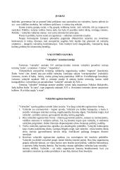 Visuomeniniai valstybės pagrindai 2 puslapis