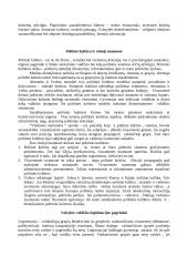 Visuomeniniai valstybės pagrindai 12 puslapis