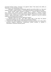 Visuomeniniai valstybės pagrindai 13 puslapis