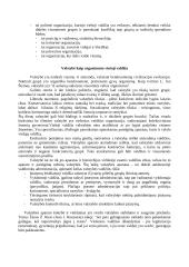 Visuomeniniai valstybės pagrindai 3 puslapis