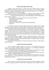 Visuomeniniai valstybės pagrindai 4 puslapis