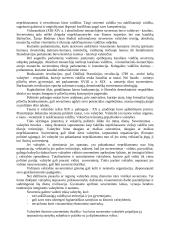 Visuomeniniai valstybės pagrindai 5 puslapis