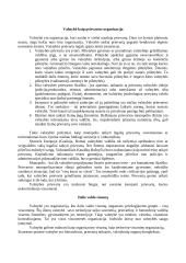 Visuomeniniai valstybės pagrindai 6 puslapis