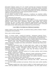 Visuomeniniai valstybės pagrindai 10 puslapis