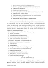Visuotinės kokybės vadybos pradininkų pagrindinės mintys 6 puslapis