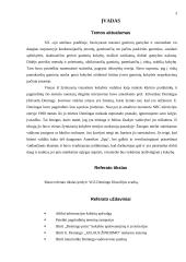 W.E. Demingo filosofija 3 puslapis