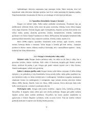 Žiniasklaida ir komunikacija 11 puslapis