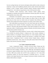 Žiniasklaida ir komunikacija 13 puslapis