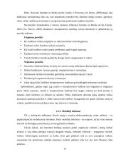 Žiniasklaida ir komunikacija 14 puslapis