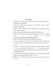 Žiniasklaida ir komunikacija 18 puslapis