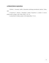 Žiniasklaidos vaidmuo politikoje 11 puslapis