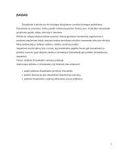 Žiniasklaidos vaidmuo politikoje 2 puslapis