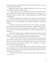 Žiniasklaidos vaidmuo politikoje 8 puslapis