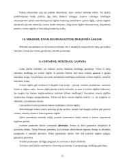 Žmogui naudingos bakterijos 12 puslapis