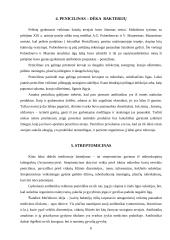 Žmogui naudingos bakterijos 6 puslapis