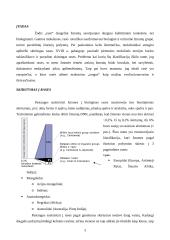 Žmonių didžiųjų rasių biologiniai ypatumai 3 puslapis