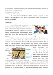 Žmonių didžiųjų rasių biologiniai ypatumai 4 puslapis