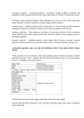 Pasiruošimas fizikos egzamino klausimams 2 puslapis