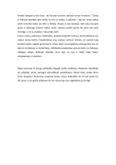 Platono “Puota, arba apie meilę” analizė 5 puslapis