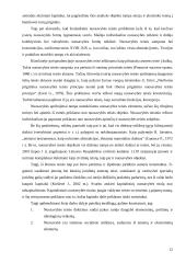 Akcininko nuosavybės teisės įgyvendinimo teisinis reglamentavimas 12 puslapis