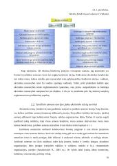 Akcininko nuosavybės teisės įgyvendinimo teisinis reglamentavimas 16 puslapis