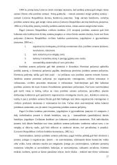 Akcininko nuosavybės teisės įgyvendinimo teisinis reglamentavimas 17 puslapis