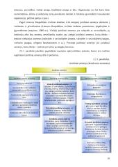 Akcininko nuosavybės teisės įgyvendinimo teisinis reglamentavimas 18 puslapis