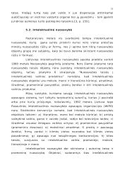 Nuosavybės teisė ir turtinė žala 11 puslapis