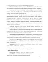 Pasauliečių dalyvavimo bažnyčios gyvenime formos 3 puslapis