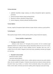 Slaugos kokybės vertinimas chirurginiuose skyriuose 2 puslapis