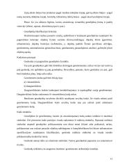 Telšių regiono vieningo geodezinio pagrindo duomenų bazės sukūrimas 11 puslapis