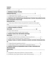 Viešųjų pirkimų įgyvendinimo problemos 2 puslapis