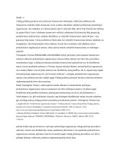 Viešųjų pirkimų įgyvendinimo problemos 17 puslapis