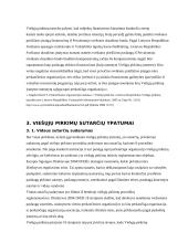 Viešųjų pirkimų įgyvendinimo problemos 18 puslapis