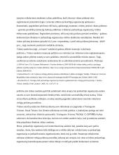 Viešųjų pirkimų įgyvendinimo problemos 19 puslapis