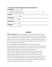 Viešųjų pirkimų įgyvendinimo problemos 3 puslapis