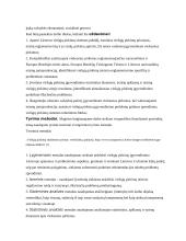 Viešųjų pirkimų įgyvendinimo problemos 5 puslapis