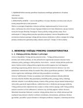 Viešųjų pirkimų įgyvendinimo problemos 6 puslapis