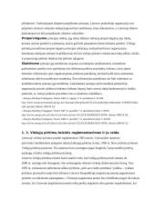 Viešųjų pirkimų įgyvendinimo problemos 9 puslapis