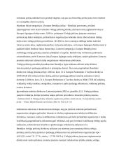 Viešųjų pirkimų įgyvendinimo problemos 10 puslapis